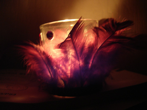 Plum Light