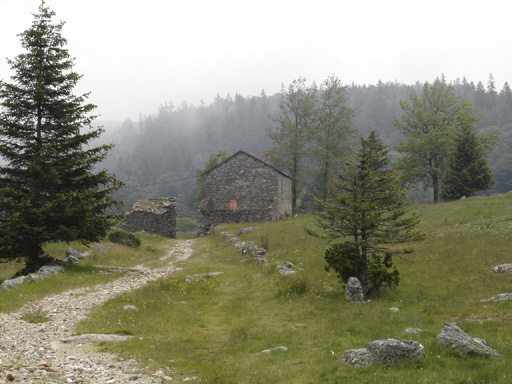 Brouillard