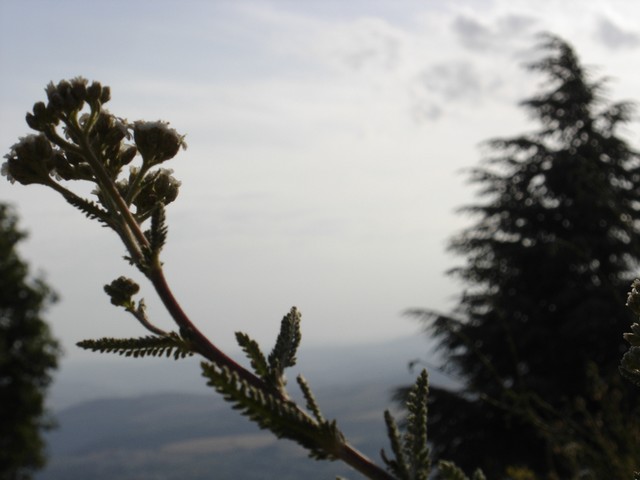 Contre-jour