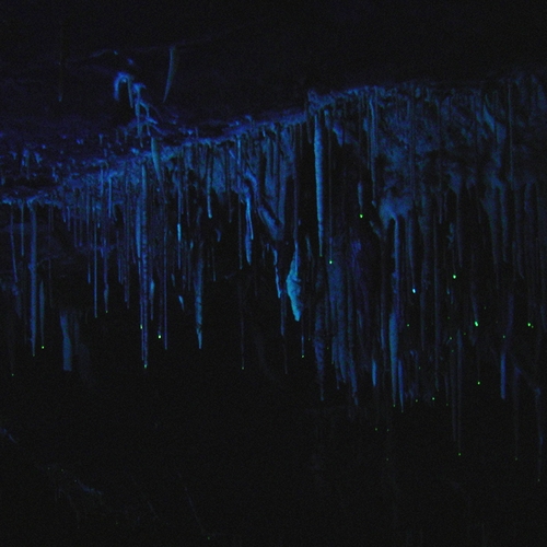 Grotte de Lacave (Lot) - 5/5
