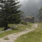 Brouillard