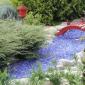 Jardin japonais