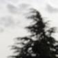 Contre-jour